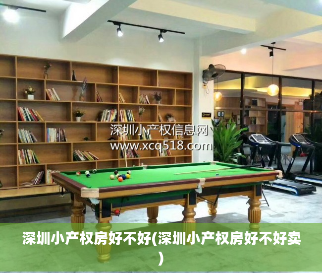 深圳小产权房好不好(深圳小产权房好不好卖)