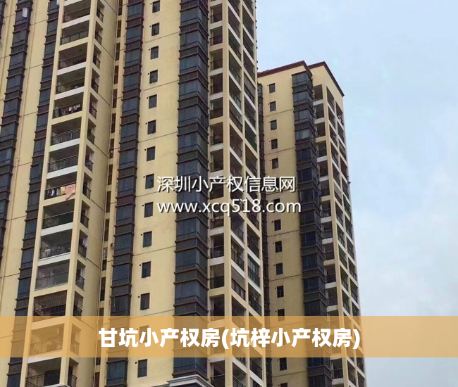甘坑小产权房(坑梓小产权房)