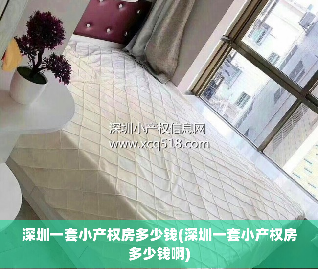 深圳一套小产权房多少钱(深圳一套小产权房多少钱啊)