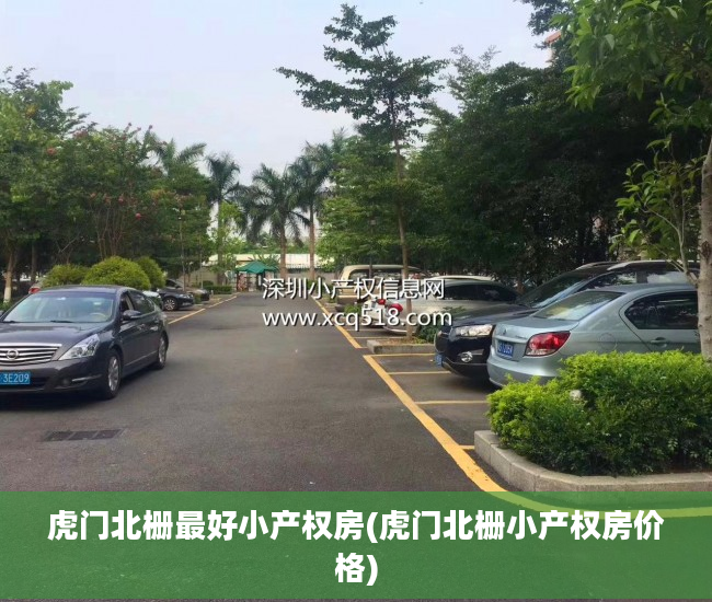 虎门北栅最好小产权房(虎门北栅小产权房价格)