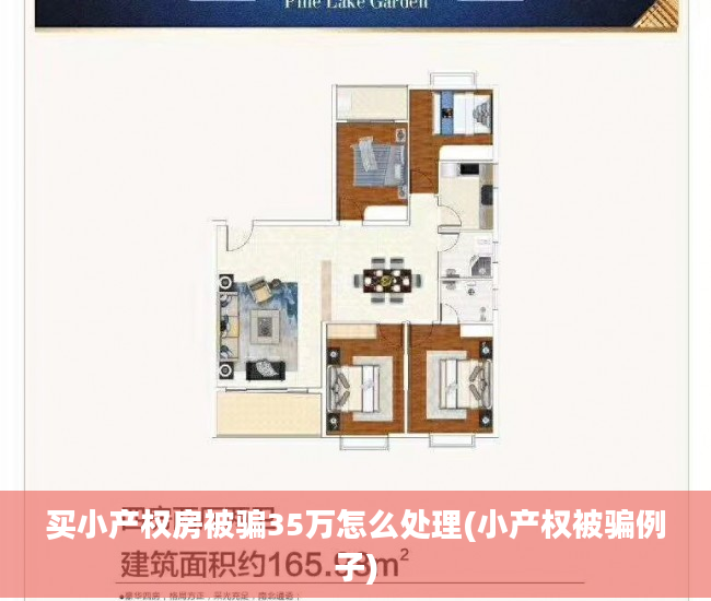 买小产权房被骗35万怎么处理(小产权被骗例子)
