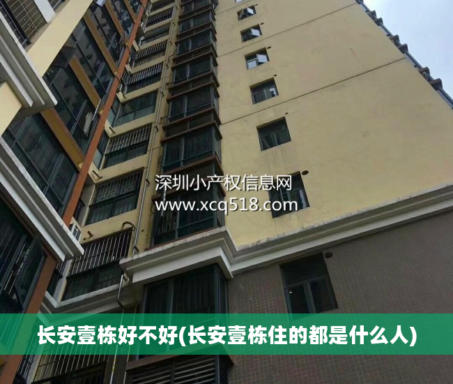 长安壹栋好不好(长安壹栋住的都是什么人)
