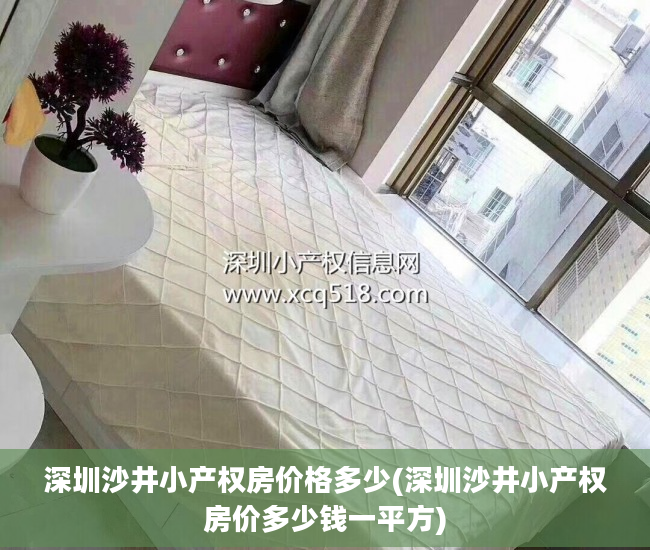 深圳沙井小产权房价格多少(深圳沙井小产权房价多少钱一平方)