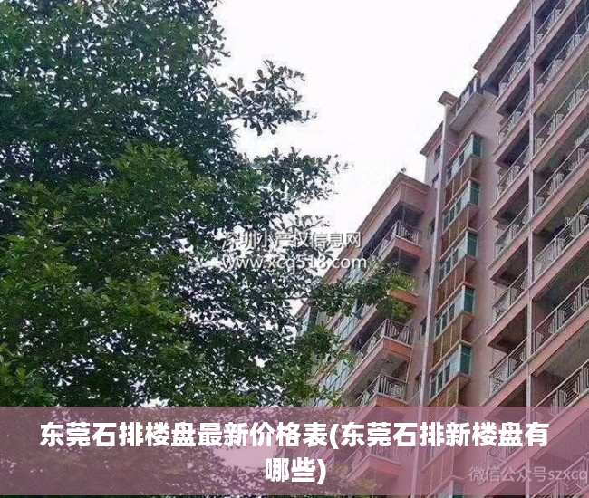 东莞石排楼盘最新价格表(东莞石排新楼盘有哪些)