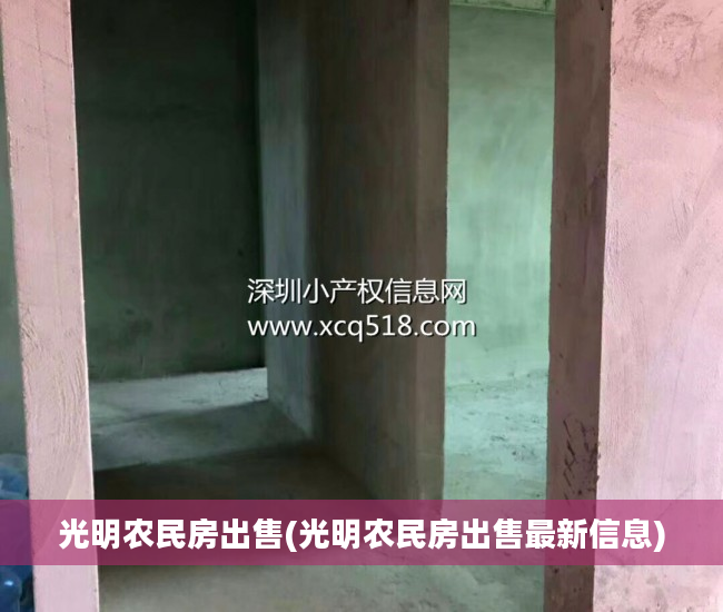 光明农民房出售(光明农民房出售最新信息)