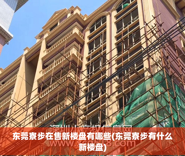 东莞寮步在售新楼盘有哪些(东莞寮步有什么新楼盘)