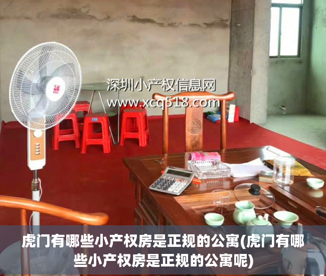 虎门有哪些小产权房是正规的公寓(虎门有哪些小产权房是正规的公寓呢)