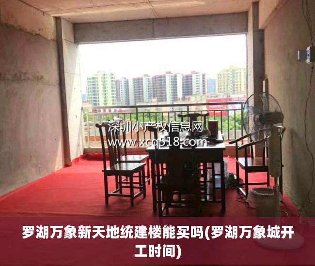 罗湖万象新天地统建楼能买吗(罗湖万象城开工时间)