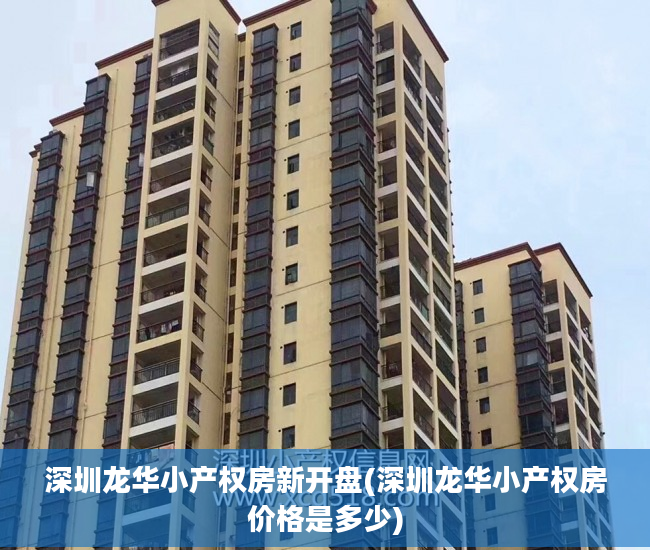深圳龙华小产权房新开盘(深圳龙华小产权房价格是多少)