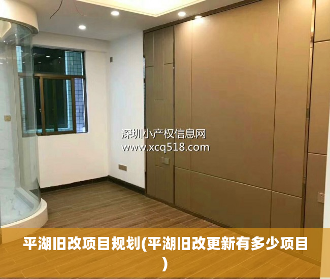 平湖旧改项目规划(平湖旧改更新有多少项目)