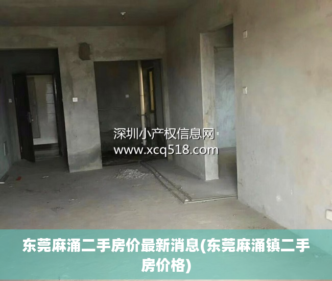 东莞麻涌二手房价最新消息(东莞麻涌镇二手房价格)