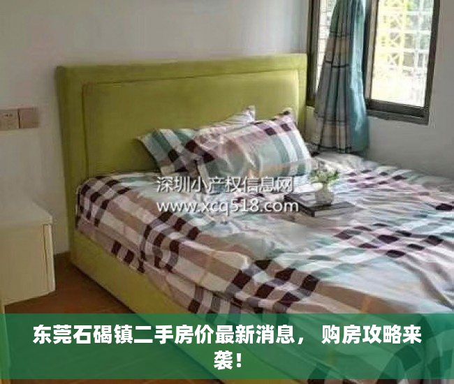 东莞石碣镇二手房价最新消息， 购房攻略来袭！