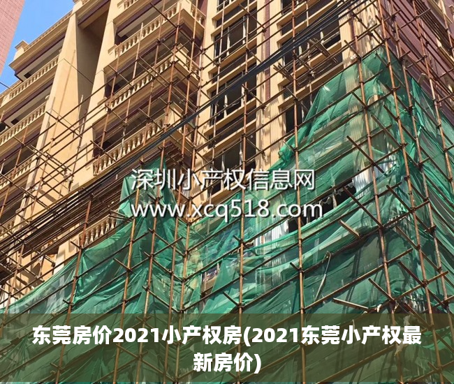 东莞房价2021小产权房(2021东莞小产权最新房价)