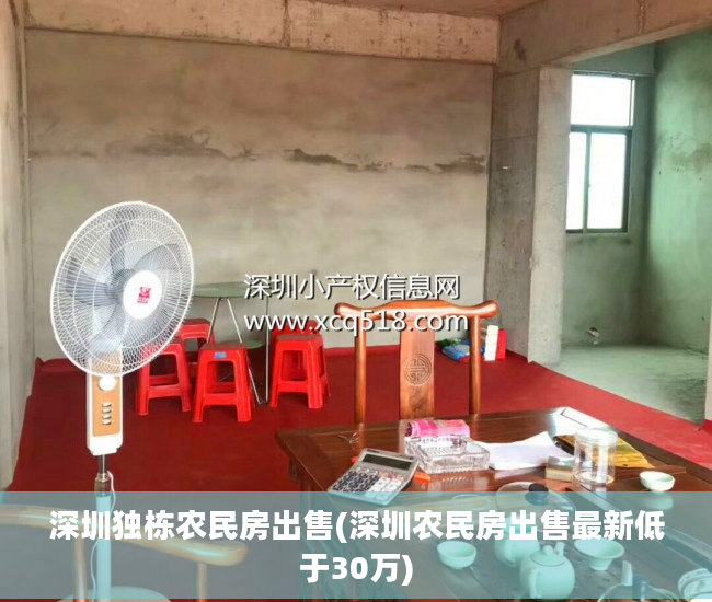 深圳独栋农民房出售(深圳农民房出售最新低于30万)