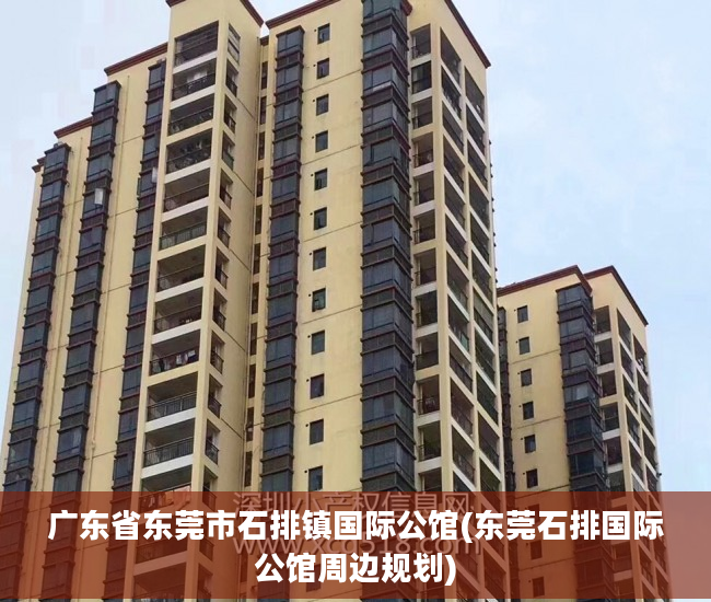 广东省东莞市石排镇国际公馆(东莞石排国际公馆周边规划)