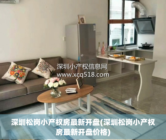 深圳松岗小产权房最新开盘(深圳松岗小产权房最新开盘价格)