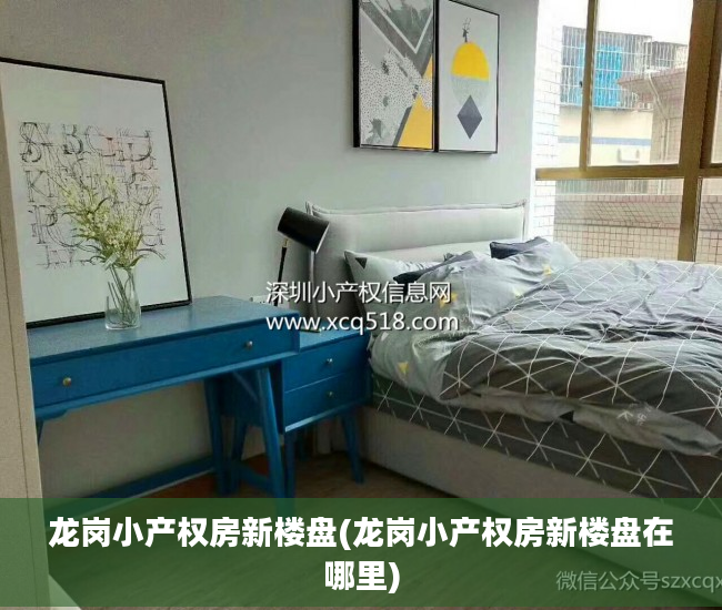 龙岗小产权房新楼盘(龙岗小产权房新楼盘在哪里)