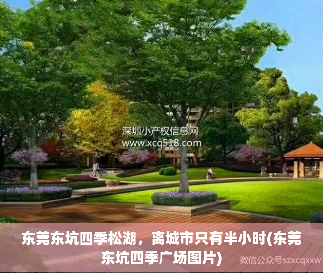 东莞东坑四季松湖，离城市只有半小时(东莞东坑四季广场图片)