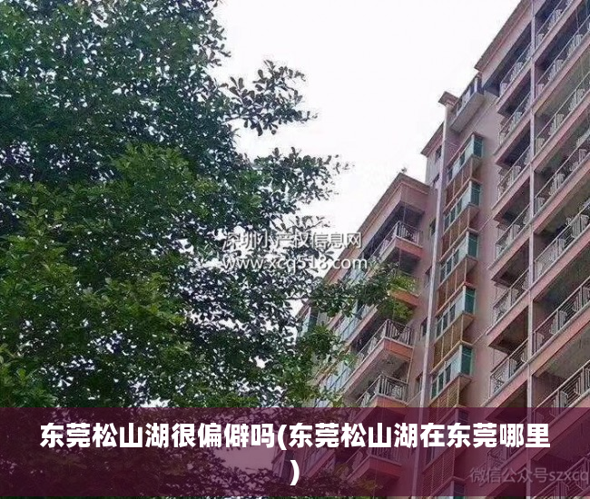 东莞松山湖很偏僻吗(东莞松山湖在东莞哪里)