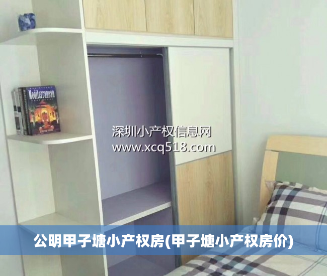 公明甲子塘小产权房(甲子塘小产权房价)
