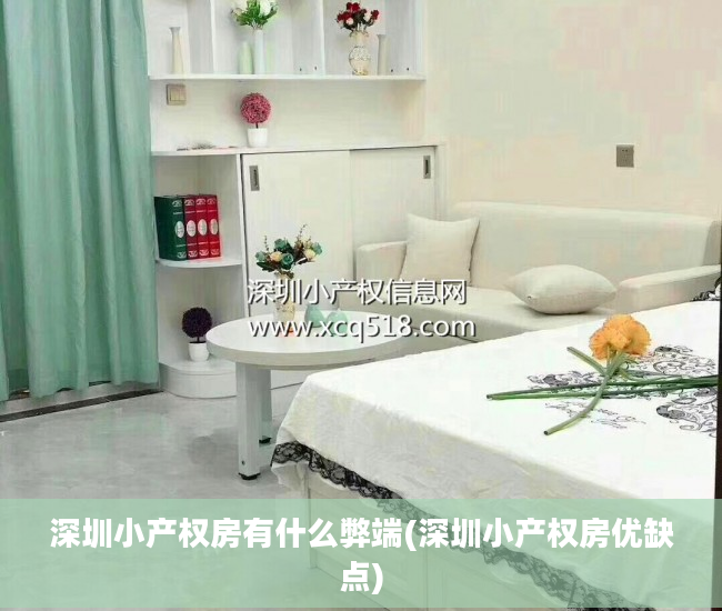 深圳小产权房有什么弊端(深圳小产权房优缺点)