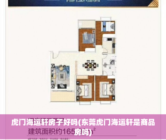 虎门海运轩房子好吗(东莞虎门海运轩是商品房吗)