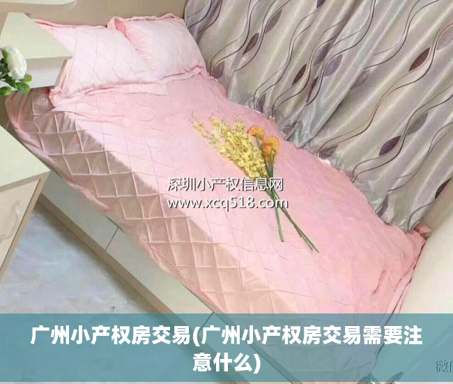 广州小产权房交易(广州小产权房交易需要注意什么)