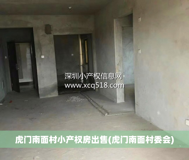 虎门南面村小产权房出售(虎门南面村委会)