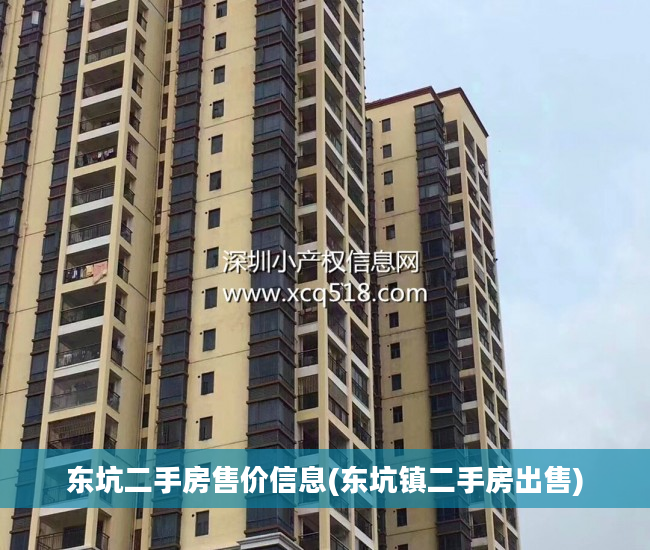 东坑二手房售价信息(东坑镇二手房出售)