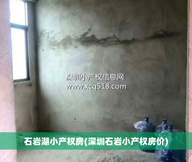 石岩湖小产权房(深圳石岩小产权房价)