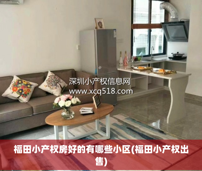 福田小产权房好的有哪些小区(福田小产权出售)
