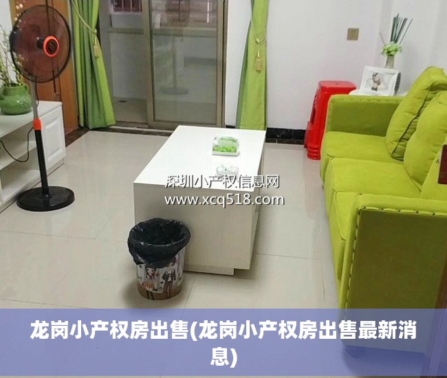 龙岗小产权房出售(龙岗小产权房出售最新消息)