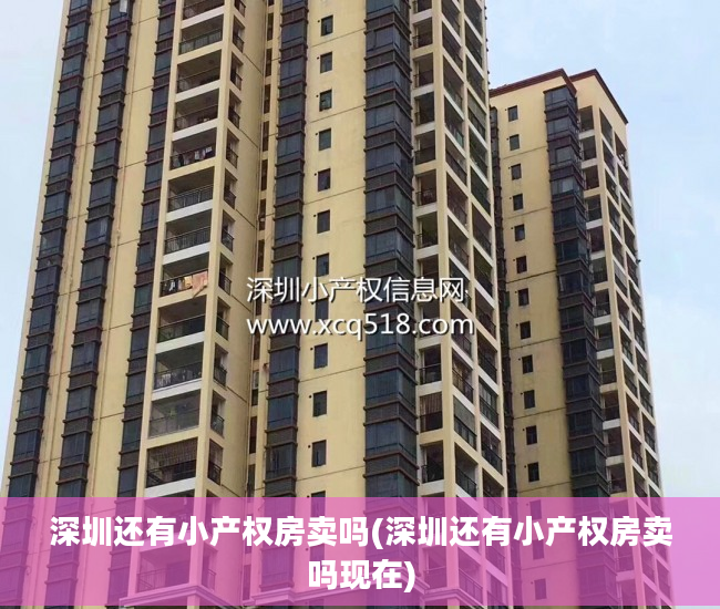 深圳还有小产权房卖吗(深圳还有小产权房卖吗现在)