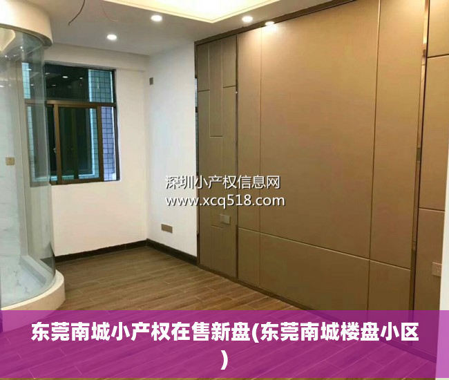 东莞南城小产权在售新盘(东莞南城楼盘小区)