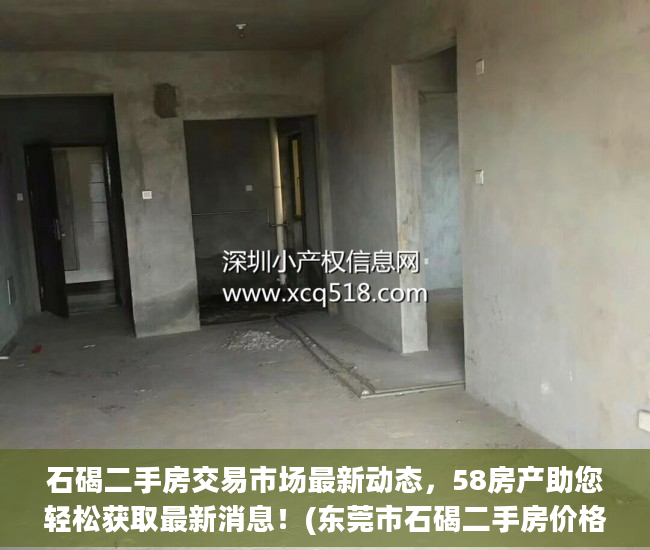 石碣二手房交易市场最新动态，58房产助您轻松获取最新消息！(东莞市石碣二手房价格)