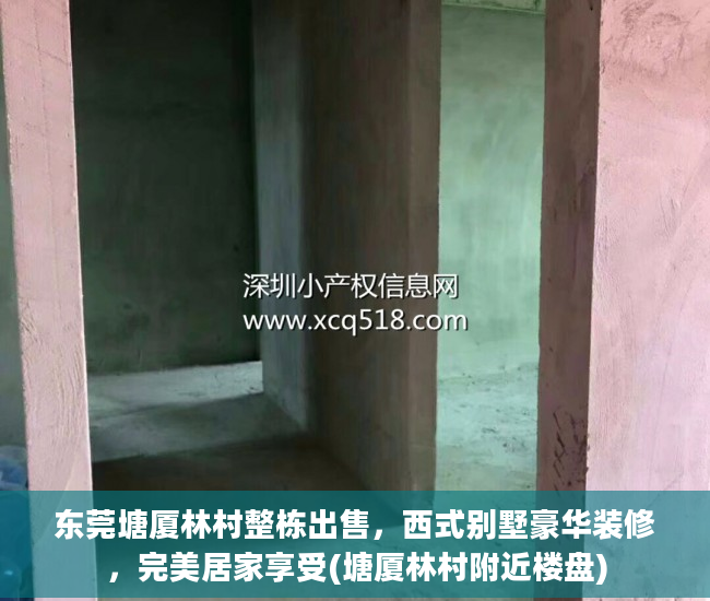 东莞塘厦林村整栋出售，西式别墅豪华装修，完美居家享受(塘厦林村附近楼盘)