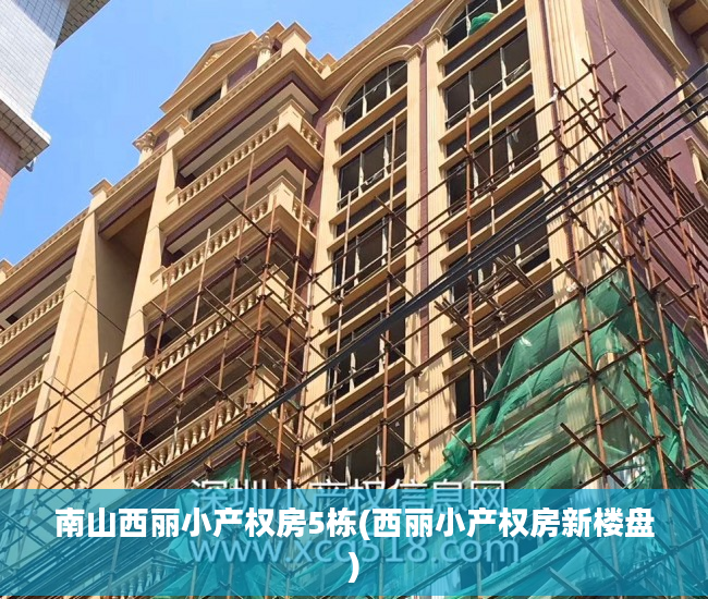 南山西丽小产权房5栋(西丽小产权房新楼盘)