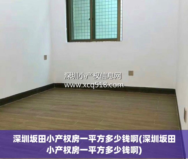 深圳坂田小产权房一平方多少钱啊(深圳坂田小产权房一平方多少钱啊)