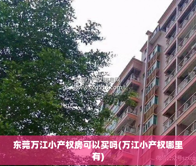 东莞万江小产权房可以买吗(万江小产权哪里有)