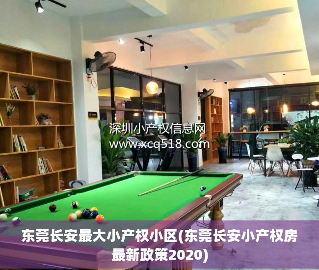 东莞长安最大小产权小区(东莞长安小产权房最新政策2020)