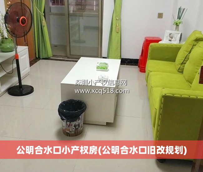 公明合水口小产权房(公明合水口旧改规划)