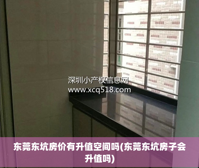 东莞东坑房价有升值空间吗(东莞东坑房子会升值吗)
