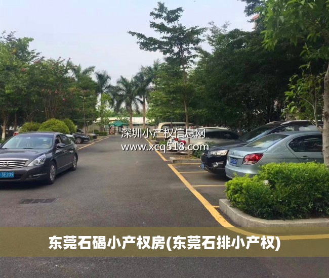 东莞石碣小产权房(东莞石排小产权)