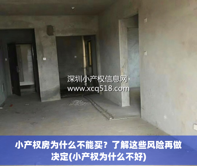 小产权房为什么不能买？了解这些风险再做决定(小产权为什么不好)