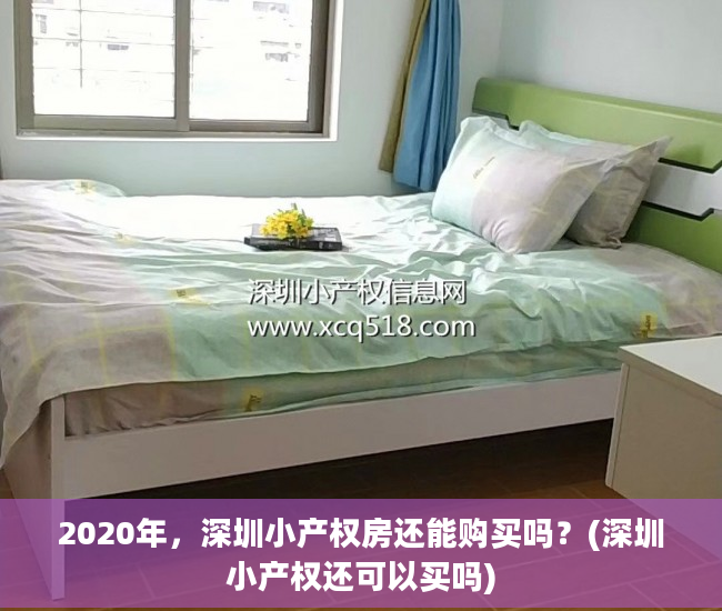 2020年，深圳小产权房还能购买吗？(深圳小产权还可以买吗)