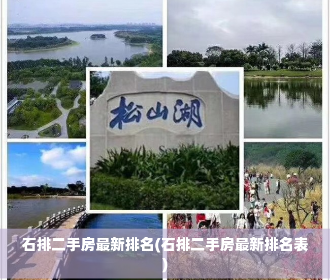石排二手房最新排名(石排二手房最新排名表)