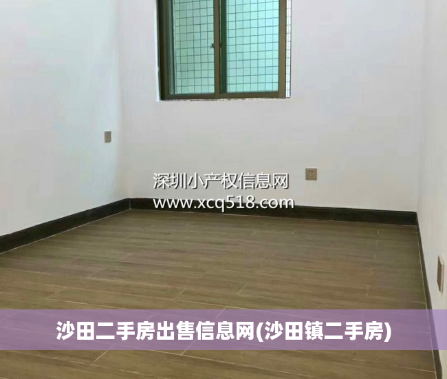 沙田二手房出售信息网(沙田镇二手房)