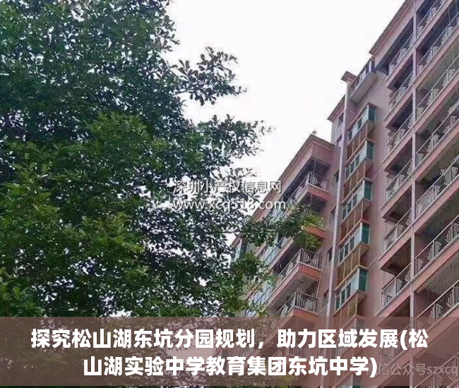 探究松山湖东坑分园规划，助力区域发展(松山湖实验中学教育集团东坑中学)