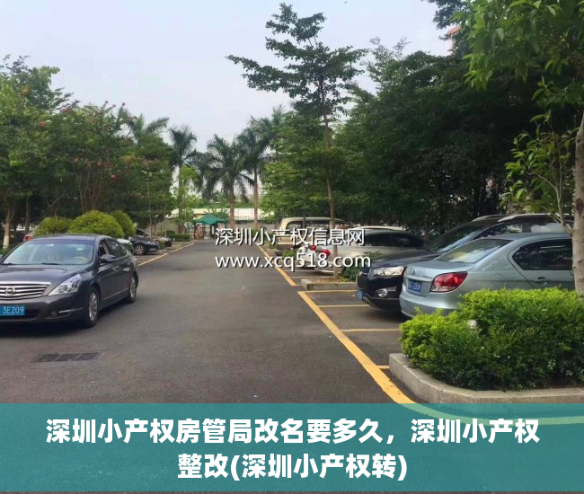 深圳小产权房管局改名要多久，深圳小产权整改(深圳小产权转)