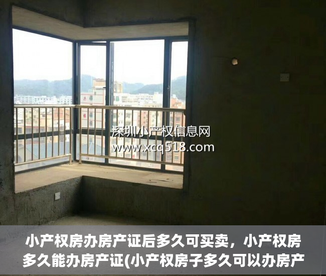 小产权房办房产证后多久可买卖，小产权房多久能办房产证(小产权房子多久可以办房产证)